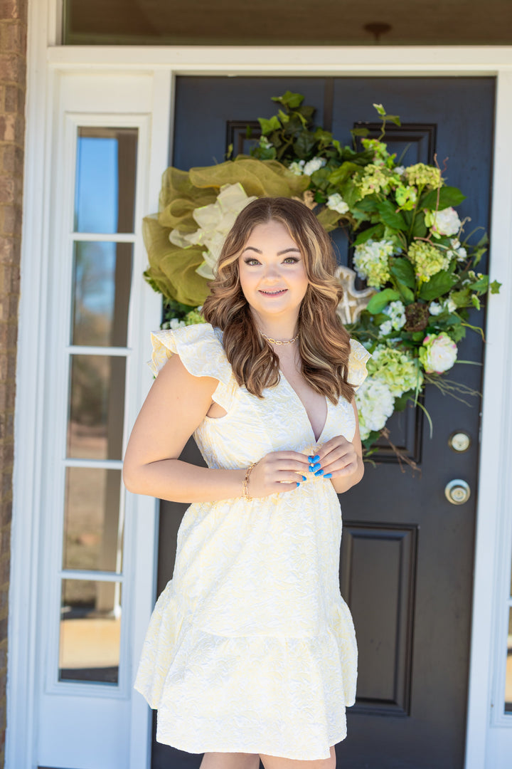 She & Sky Butterfly Sleeve Jacquard Mini Easter Dress – Hometown Heritage  Boutique