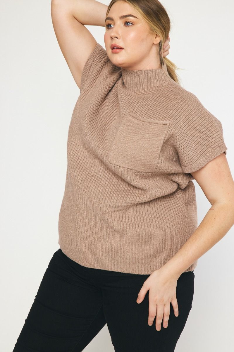 Solid Mock Neck Knit Crop Top in Plus Size by Entro Clothing