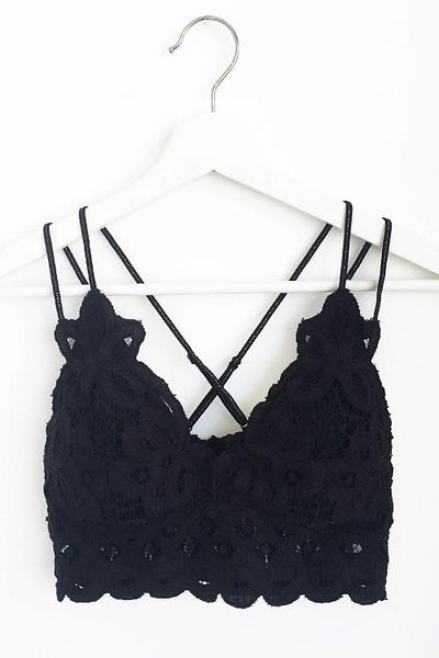 Padded Bralette in Black Plus Size by Anemone