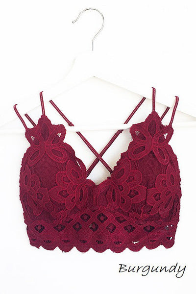 Padded Bralette in Burgundy Plus Size by Anemone