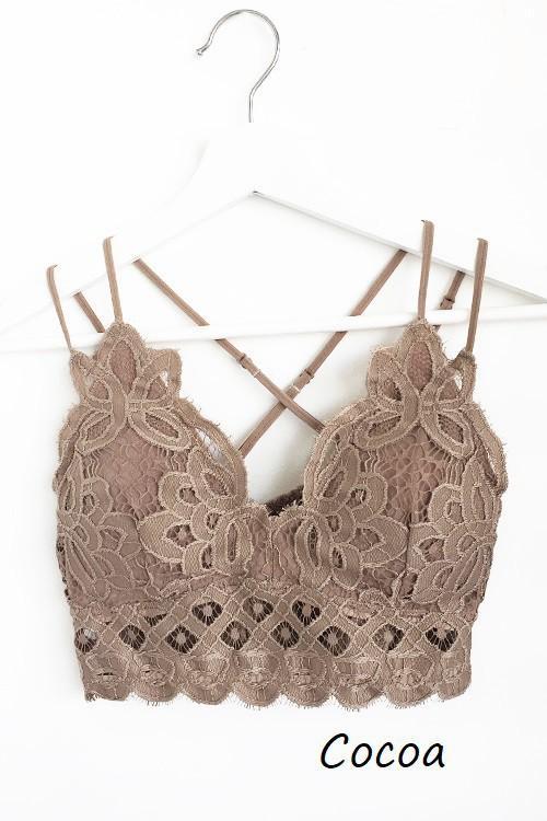 Padded Bralette in Cocoa Plus Size by Anemone