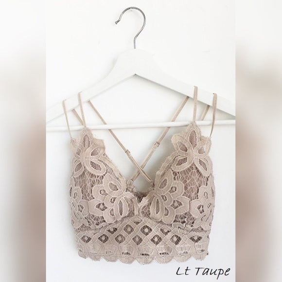 Padded Bralette in Light Taupe Plus Size by Anemone