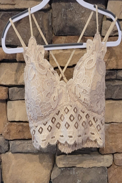 Padded Bralette in Light Taupe Plus Size by Anemone